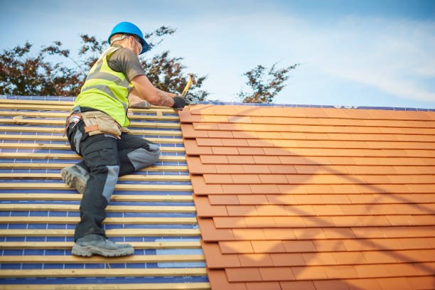 Best Roof Maintenance and Cleaning  in USA